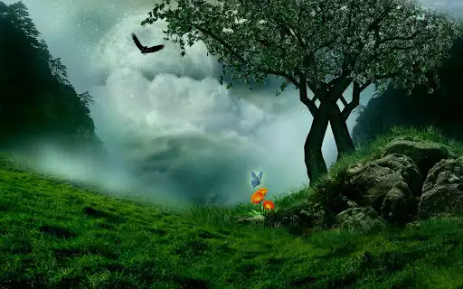 Play Nature Wallpaper  and enjoy Nature Wallpaper with UptoPlay