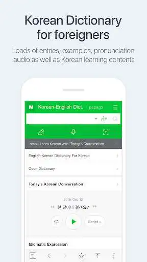 Play NAVER Korean Dictionary