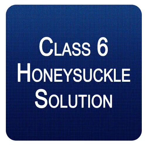 Play NCERT Class 6 Honeysuckle Solutions APK