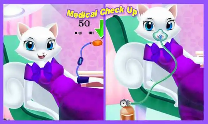 Play Newborn Kitten Doctor Clinic