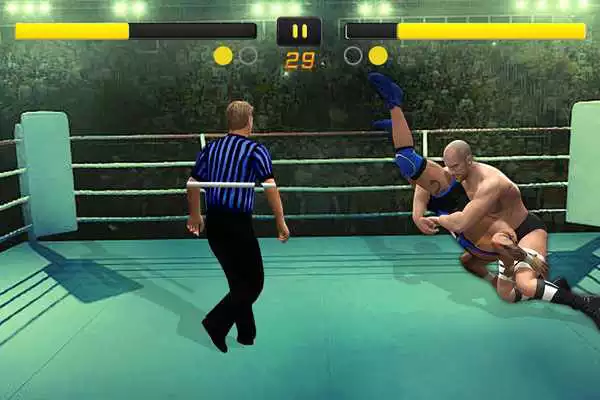 Play New Immortal Superstar Wrestling Game