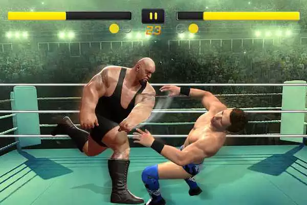 Play New Immortal Superstar Wrestling Game