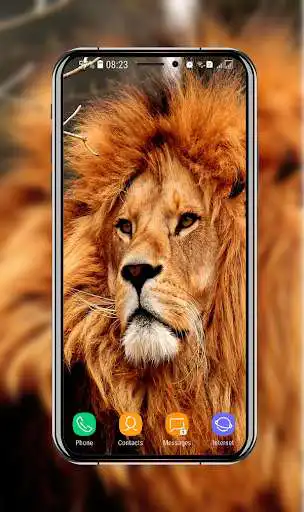 Play New Lion Wallpaper  and enjoy New Lion Wallpaper with UptoPlay