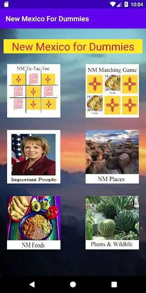 Play New Mexico For Dummies  and enjoy New Mexico For Dummies with UptoPlay