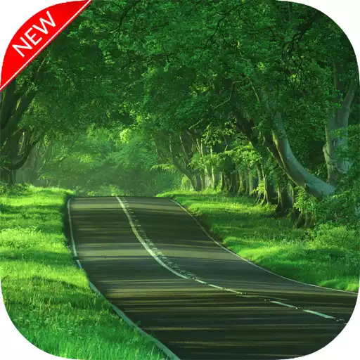 Play New Road Wallpapers APK