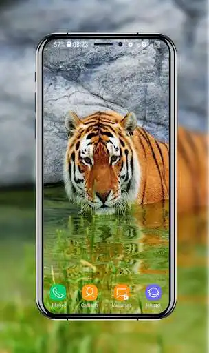 Play New Tiger Wallpaper as an online game New Tiger Wallpaper with UptoPlay