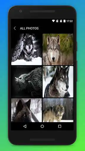 Play New Wolf Wallpapers as an online game New Wolf Wallpapers with UptoPlay