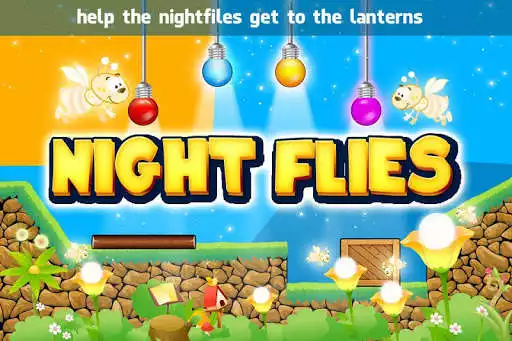 Play Night Flies