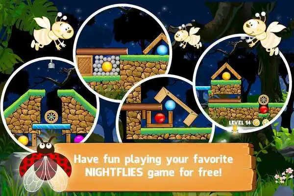 Play Night Flies