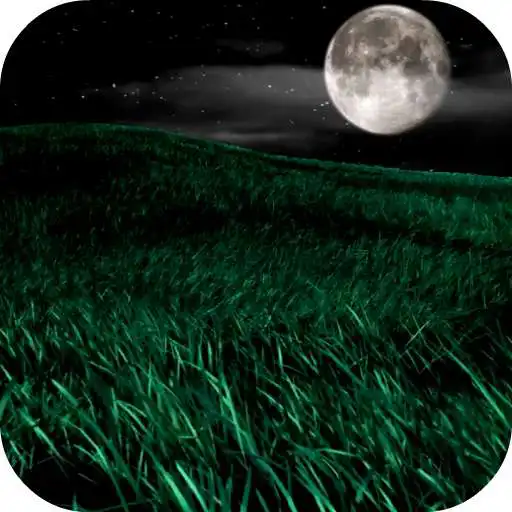 Free play online Night HD Video Wallpaper APK