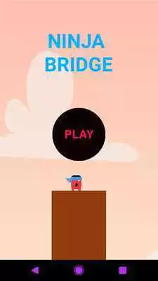 Play Ninja Bridge