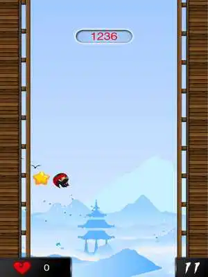 Play Ninja Super Jump