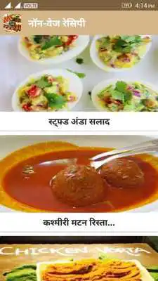 Play Non-Veg Recipe in Hindi