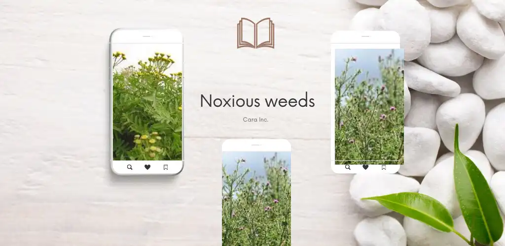 Play Noxious weeds book  and enjoy Noxious weeds book with UptoPlay