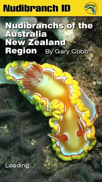 Play Nudibranch ID Australia NZ  and enjoy Nudibranch ID Australia NZ with UptoPlay