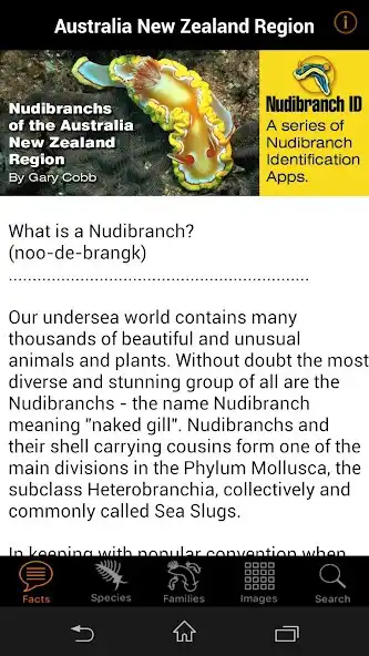 Play Nudibranch ID Australia NZ as an online game Nudibranch ID Australia NZ with UptoPlay