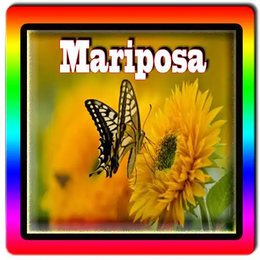 Play Nueva Mariposa Full HD APK