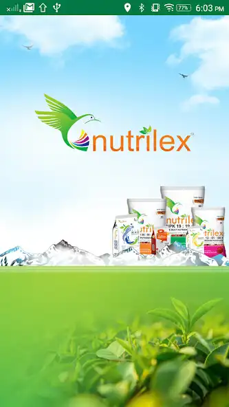 Play Nutrilex  and enjoy Nutrilex with UptoPlay