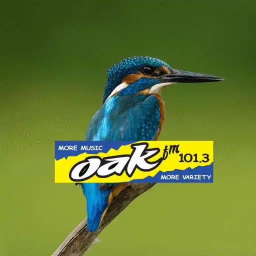 Play Oak FM APK