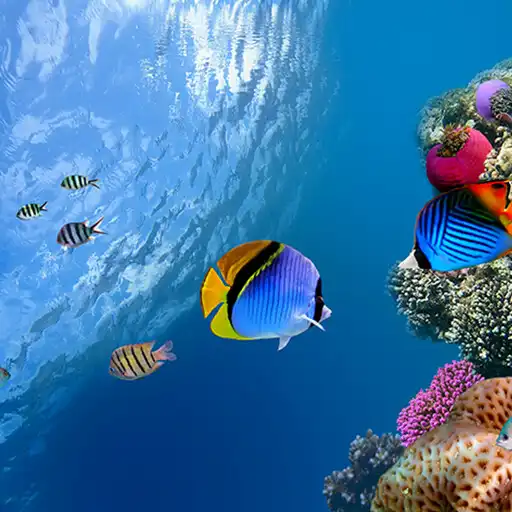 Play Ocean Fish Live Wallpaper APK