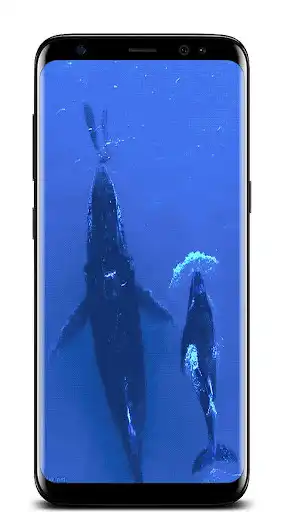 Play Ocean Live Wallpapers  and enjoy Ocean Live Wallpapers with UptoPlay