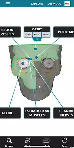 Play oculAR SIM  and enjoy oculAR SIM with UptoPlay