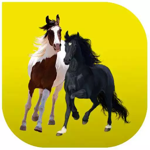 Play Old Town Road Button 2019 APK