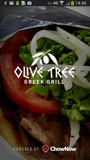 Play Olive Tree Greek Grill