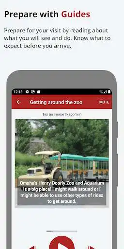 Play Omaha Zoo for All  and enjoy Omaha Zoo for All with UptoPlay