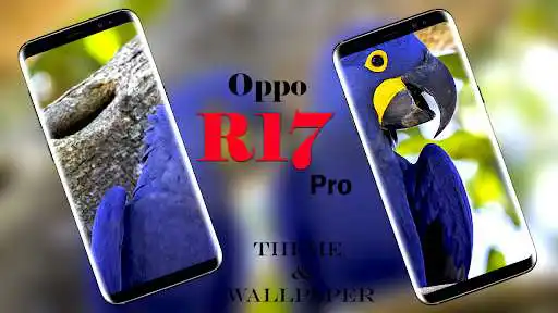 Play Oppo Reno R17 Pro Live Wallpapers, Ringtones 2021 as an online game Oppo Reno R17 Pro Live Wallpapers, Ringtones 2021 with UptoPlay