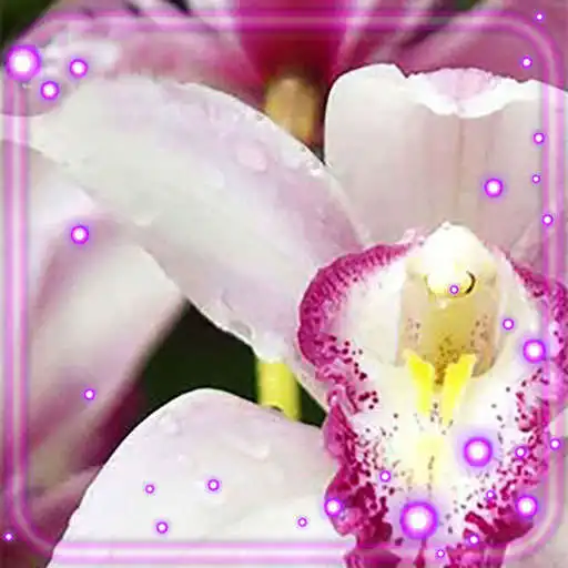 Play Orchid Amazing Live Wallpaper APK