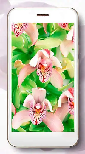 Play Orchid Amazing Live Wallpaper as an online game Orchid Amazing Live Wallpaper with UptoPlay