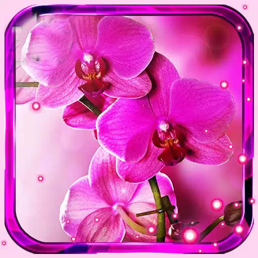 Play Orchid Music Live Wallpaper APK