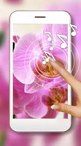 Play Orchid Music Live Wallpaper  and enjoy Orchid Music Live Wallpaper with UptoPlay