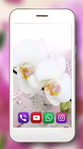 Play Orchid Music Live Wallpaper as an online game Orchid Music Live Wallpaper with UptoPlay