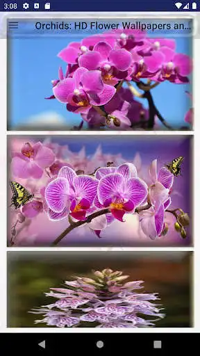 Play Orchids: HD Flower Wallpapers and Backgrounds  and enjoy Orchids: HD Flower Wallpapers and Backgrounds with UptoPlay