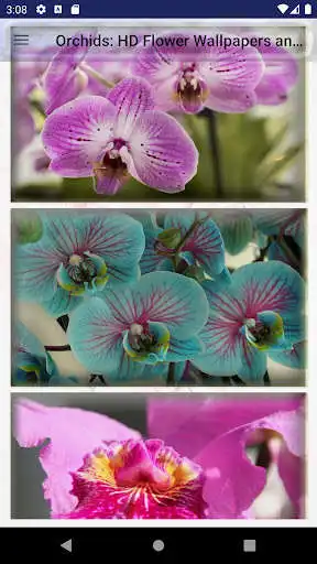 Play Orchids: HD Flower Wallpapers and Backgrounds as an online game Orchids: HD Flower Wallpapers and Backgrounds with UptoPlay