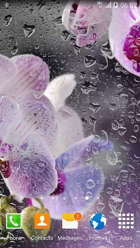 Play Orchids Live Wallpaper  and enjoy Orchids Live Wallpaper with UptoPlay