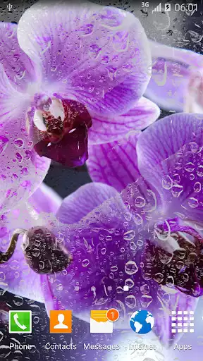 Play Orchids Live Wallpaper as an online game Orchids Live Wallpaper with UptoPlay