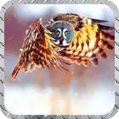 Free play online Owl Pack 2 Wallpaper APK