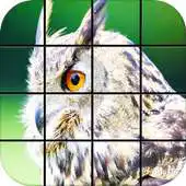 Free play online Owl Puzzle Games APK