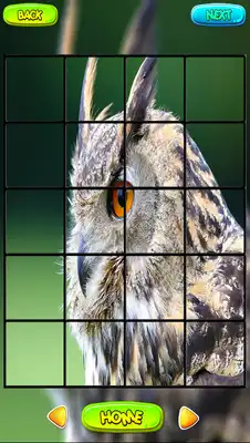 Play Owl Puzzle Games