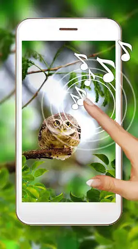 Play Owls Amazing Live Wallpaper  and enjoy Owls Amazing Live Wallpaper with UptoPlay