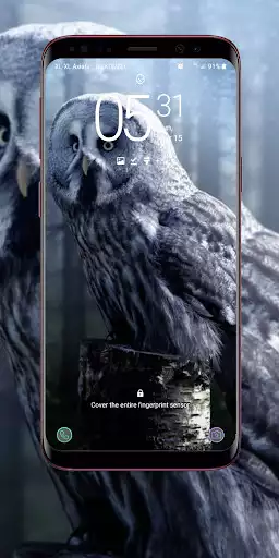 Play Owl Wallpaper as an online game Owl Wallpaper with UptoPlay