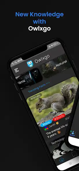 Play Owlxgo  and enjoy Owlxgo with UptoPlay