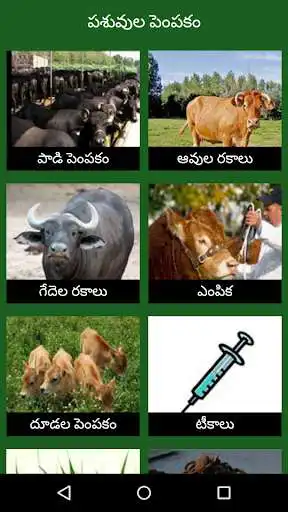 Play Paadi Parisrama Dairy Farming Telugu