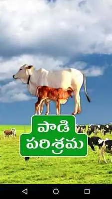 Play Paadi Parisrama Dairy Farming Telugu