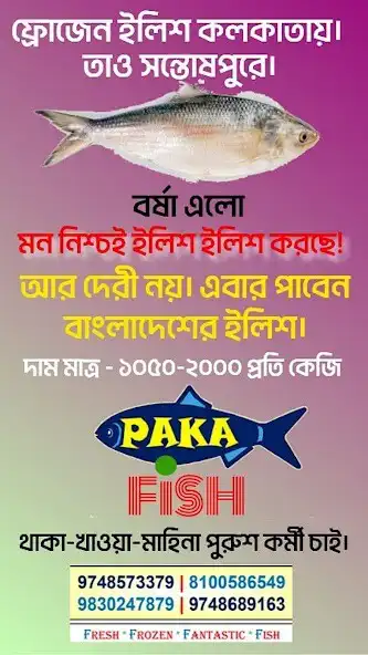 Play Paka Fish  and enjoy Paka Fish with UptoPlay