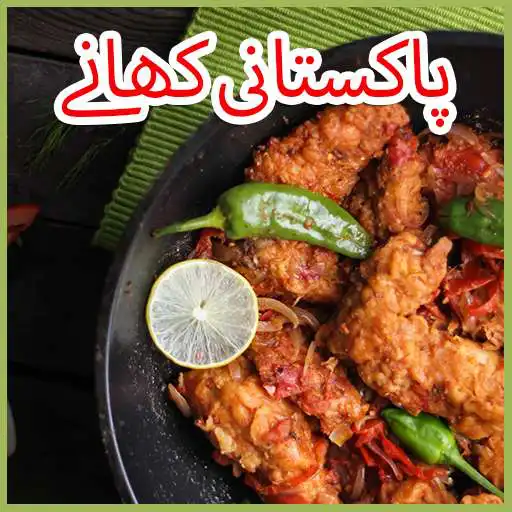 Free play online Pakistani Dishes APK