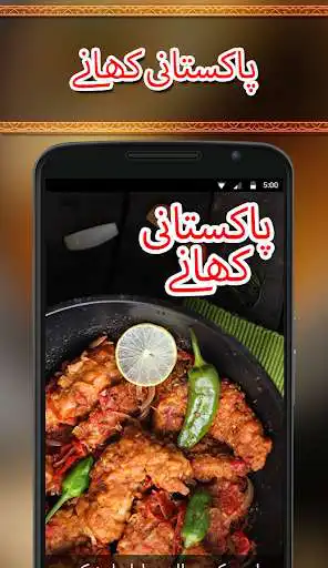 Play Pakistani Dishes